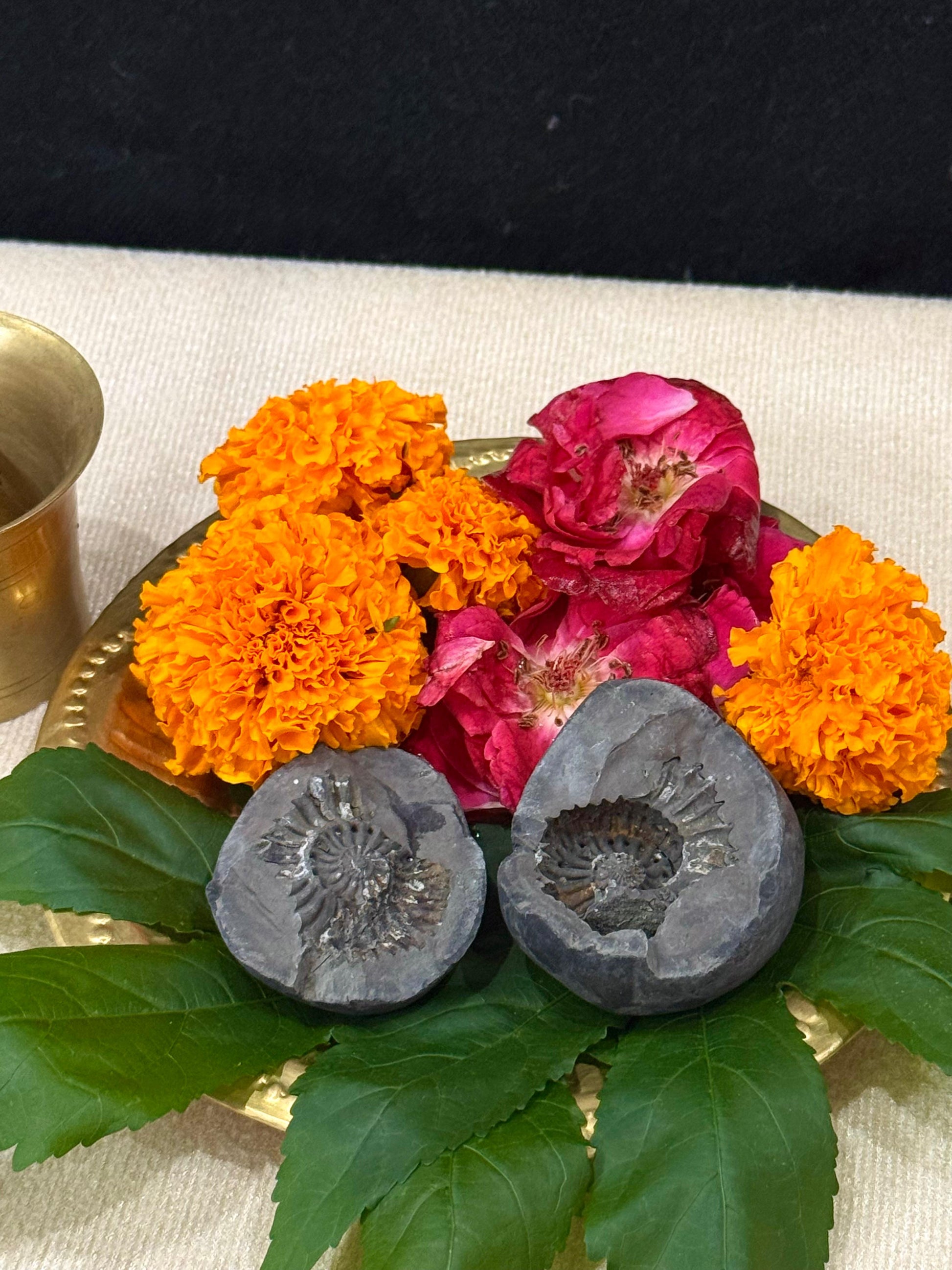 Sudershan Shaligram