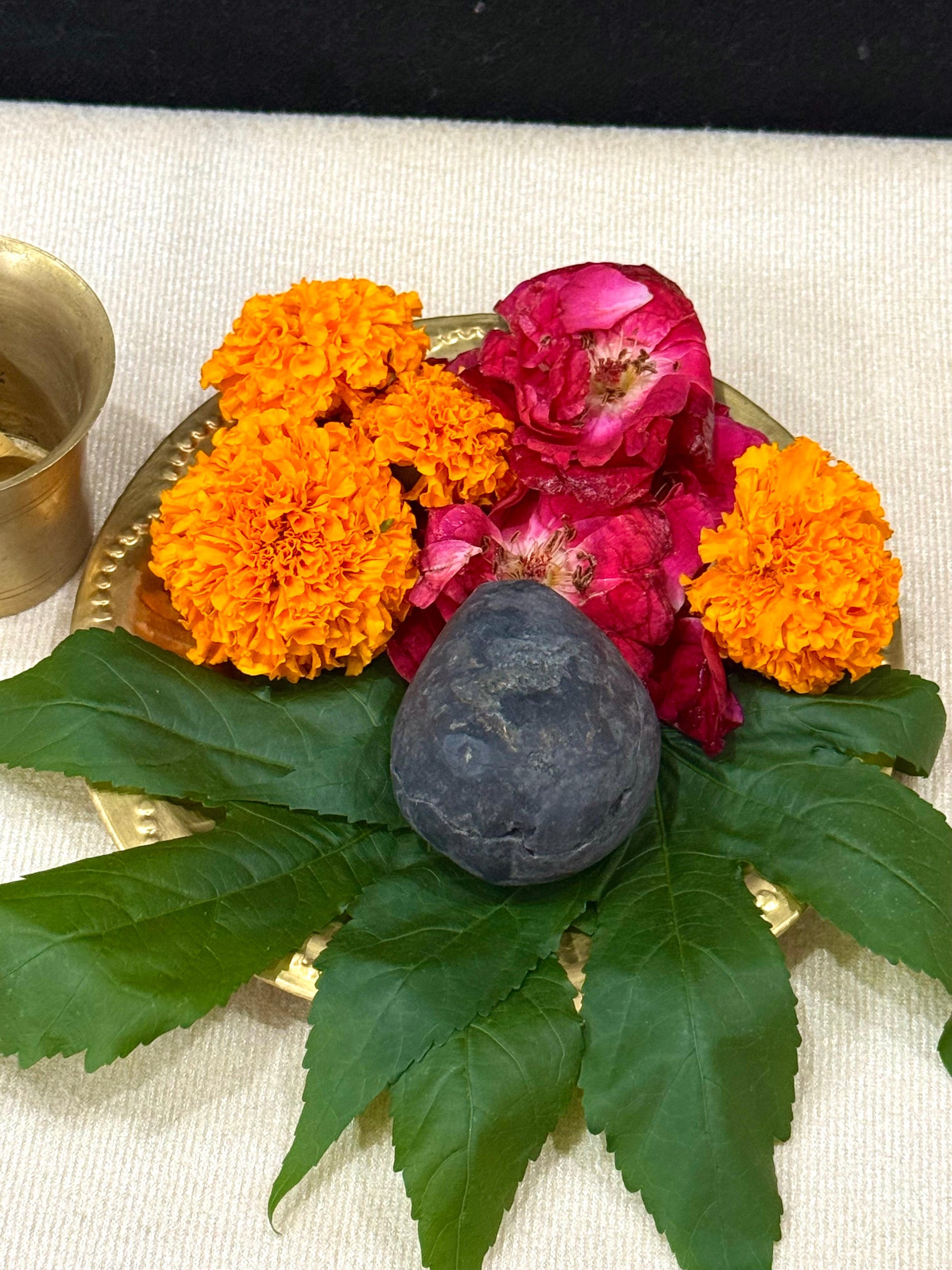 Sudershan Shaligram 